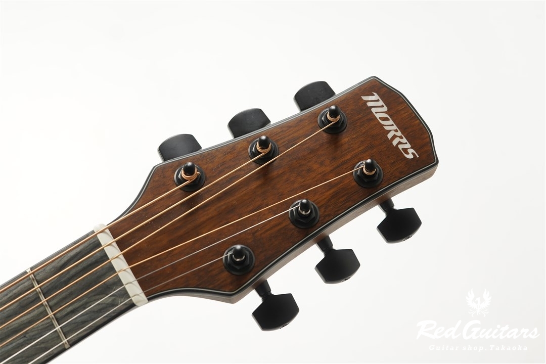 Morris M-021 - NAT | Red Guitars Online Store
